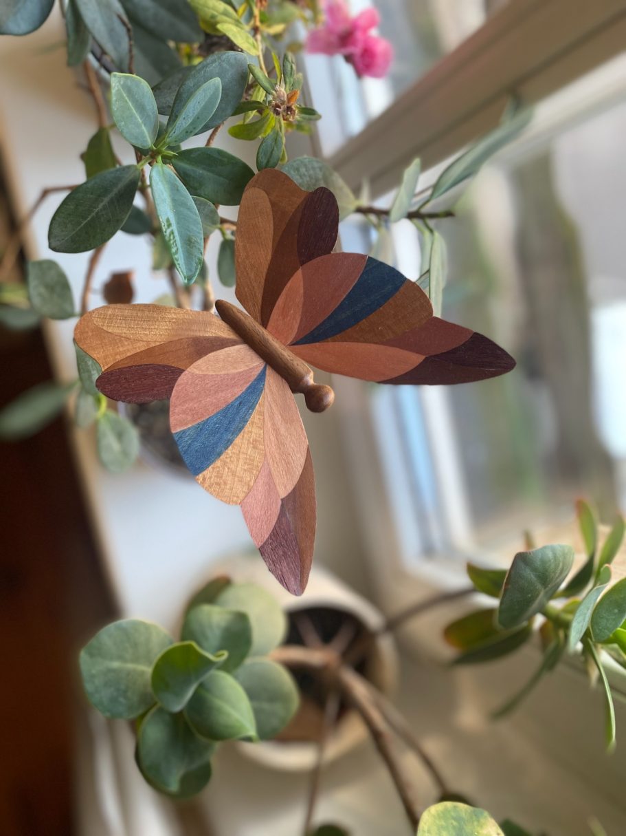 Schmetterling